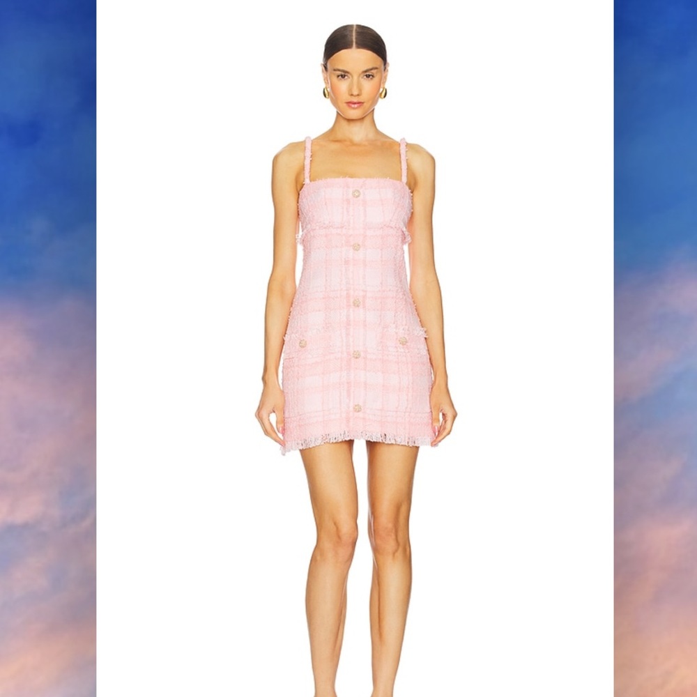 Alexis Michael Dress in Peony NWOT